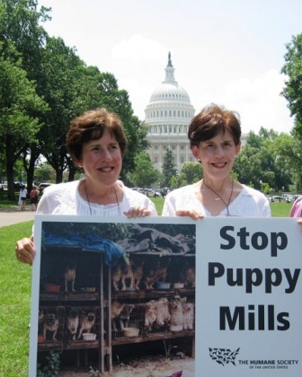 Georgette and Gerie prepare to join the 2008 TAFA rally on the steps of the Capitol.