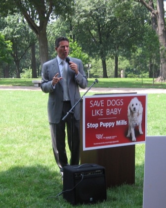 Wayne Pacelle, President of HSUS, speaks in front of the Capitol.
